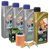 Rock Oil Motoröl Wartungsset II CFMOTO Cforce 850 1000 G3 Synthesis 10W40...
