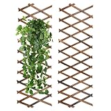 yeesport Expandable Plant Trellis 2 Pcs, Holz Trennwand Pflanzer Gartenzaun...