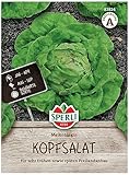 82824 Sperli Premium Wintersalat Samen Winterhart | Bewährte Sorte |...