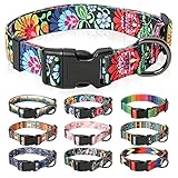HEELE Hundehalsband, Hunde Halsband für Welpen Kleine Mittlere Große...