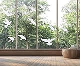 Fensteraufkleber zur Vermeidung von Vogel-Kollisionen Vogel, Glastürschutz...