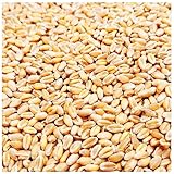 Weizen Futter 5-30 Kg Huehner Vogelfutter Getreide Fuer Hühner Sack...