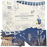 Saatgut Adventskalender 2023: Nachhaltiger Blumen Samen Adventskalender...