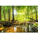 Runa Art Fototapete Wald Bach 352 x 250 cm Vlies Tapeten XXL Moderne...