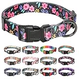 HEELE Hundehalsband, Hunde Halsband für Welpen Kleine Mittlere Große...