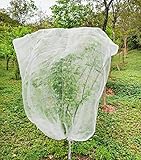 LINCOCLE 1.8m X 1.8m Pflanzenschutznetz Insekten, Garten...