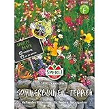 87840 Sperli Premium Blumenmischung Samen 1001 Nacht | Wildblumen Samen |...