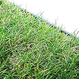 pille gartenwelt Katzengras Katzenwiese Hundewiese echter Rasen ca 60x40 cm...