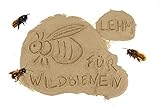 aktiongruen Lehmpulver zum Schließen & Einkleben von Niströhren /zum...