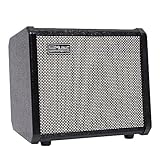 TS20 Bass Combo Amp -20W passend für Bassgitarre, mit 2 Jahren Garantie...