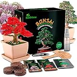 BonPrime Bonsai Starter Kit - Einsteigerfreundliches Set mit 4 Baumsorten -...