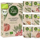 Nachhaltiges BIO Gemüsesamen Set - 6 Sorten BIO Gemüse Samen, 100%...