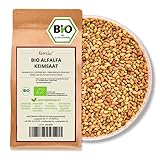 Kamelur 1kg BIO Alfalfa Sprossen Samen – Luzerne Samen BIO, Keimsaat ohne...