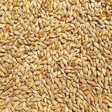 Supravit Braugerste 5kg - Ergänzungsfutter für Hühner und Tauben -...
