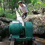 JNPGVTCD Wasserkraftgenerator, 4000 W, 220 V, einphasig, Wasserturbine,...