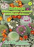 Kakteen, Mischung Topfpﬂanze N.L.Chrestensen Samen 574033-B