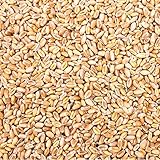 Petigi 10 Kg Weizen Hühnerfutter Hühner Huehner Futter Futterweizen...