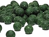 Carpline24 Futterboilies GLM Muschel - 10 kg - 20 mm - Karpfenköder zum...