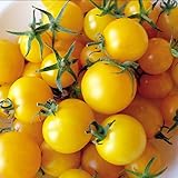 Prademir – 50 x Tomate Samen “Lemon Drop” – Tomatensaat |...