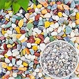Erbskies für Pflanzen, 6–9 mm, Abdeckkies für Sukkulenten und Kakteen,...