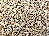 Raiffeisen Weizen, Futter Geflügel Hühner (25Kg)