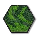 LoveLasy Bicolor Moos Wandbild Hexagon für Haus und Büro, Moosbild (Black...