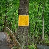 6 Stück Leimringe Selbstklebend 25CM*2M Obstbaum Leimringe für Apfelbaum...