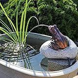 CLGarden Set Frosch Wasserspeier NSP10 Teichfigur Solarbrunnen mit Solar...