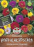 Portulakröschen Prachtmischung von Sperli-Samen