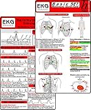 EKG Basic Set (2er Set) - Herzrhythmusstörungen, EKG Auswertung -...