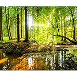 decomonkey Fototapete Wald 350x256 cm XXL Tapete Wandbild Bild Fototapeten...