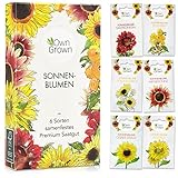 Sonnenblumen Samen Set - Sonnenblumen Saatgut mit 6 Sorten - Blumen...