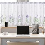 Daliena Scheibengardine mit Lochleiste Gardine Store Jacquard...