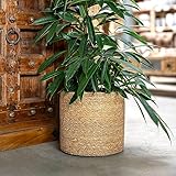 DARO DEKO Seegras Korb rund Natur Ø 19 x 17 mit Einsatz Blumentopf...