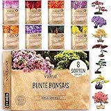 valeaf Bunte Bonsai Samen Set I 8 Sorten Bonsaisamen im Bonsai Starter Kit...