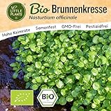 Little Plants BIO Brunnenkresse Samen 1500 Brunnenkressesamen Kräutersamen...