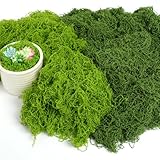 OFFCUP 100g Kunstmoos zum Dekorieren Künstliches Moos Deko Moos zum...