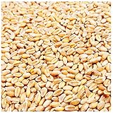 Petigi 5-30 kg Weizen Gereinigt Hühnerfutter Geflügelfutter Futterweizen...
