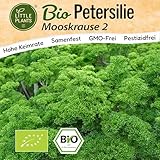 Little Plants BIO Petersilie Samen Mooskrause 500 Petersiliesamen...