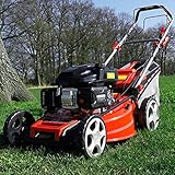 HECHT 5-IN-1 Benzin Rasenmäher – leistungsstarker 4 Takt Eco Motor 4,4...