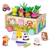 Montessori Spielzeug ab 1 2 3 Jahr | Karotten Steckspiel Holz | Montessori...