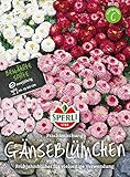 Sperli-Samen Gänseblümchen Prachtmischung